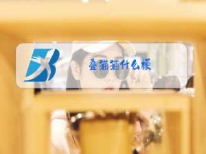 叠猫猫什么梗