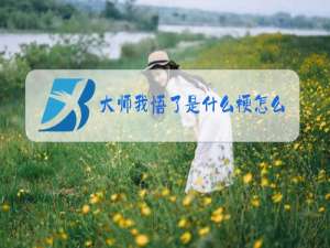 大师我悟了是什么梗怎么回复