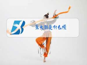 呆头鹅是什么梗