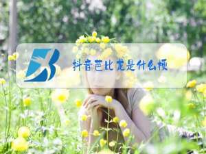 抖音芭比龙是什么梗