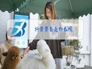 抖音曹县是什么梗