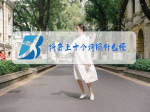 抖音上十个烤肠什么梗