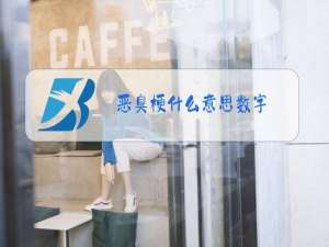 恶臭梗什么意思数字