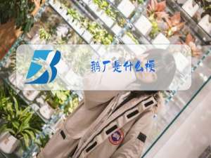 鹅厂是什么梗