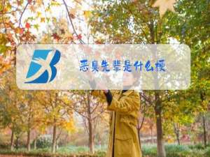 恶臭先辈是什么梗