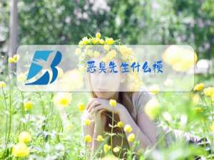 恶臭先生什么梗