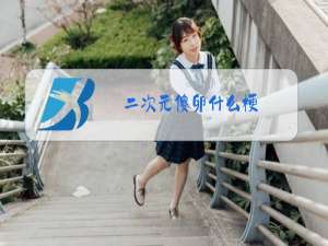 二次元傻卵什么梗