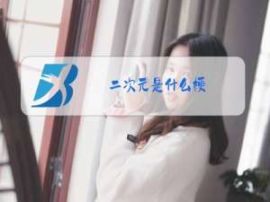 二次元是什么梗