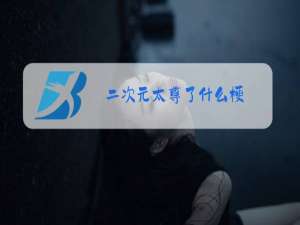 二次元太尊了什么梗