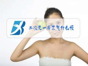 二次元一身正气什么梗