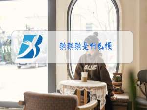 鹅鹅鹅是什么梗