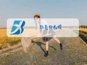 鹅是什么梗