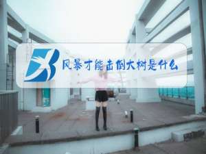 风暴才能击倒大树是什么梗