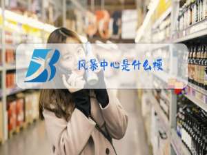 风暴中心是什么梗