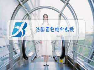 法国面包棍什么梗