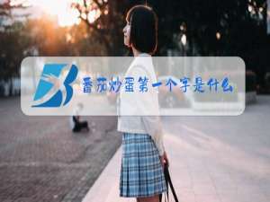 番茄炒蛋第一个字是什么梗怎么怼