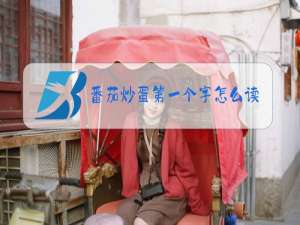 番茄炒蛋第一个字怎么读是什么梗