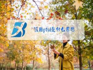 饭圈ptsd是什么意思梗