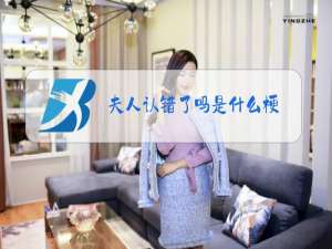 夫人认错了吗是什么梗