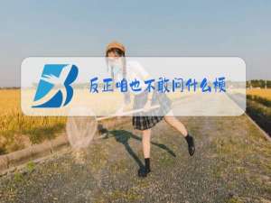 反正咱也不敢问什么梗