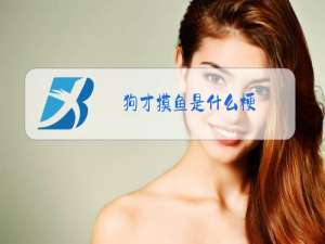 狗才摸鱼是什么梗