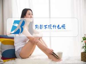 狗都不玩什么梗