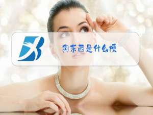 狗东西是什么梗