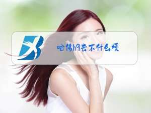 哈佛h9去不什么梗