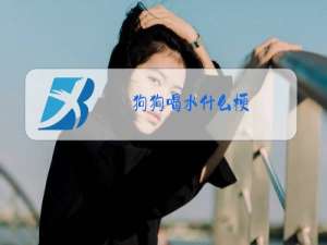 狗狗喝水什么梗