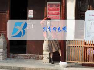 狗勾什么梗