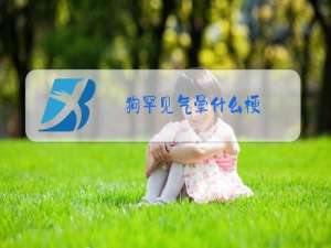 狗罕见气晕什么梗