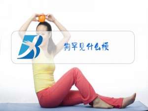 狗罕见什么梗