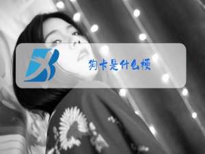 狗卡是什么梗
