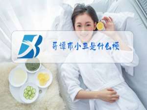 哥谭市小丑是什么梗