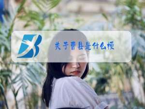关于曹县是什么梗