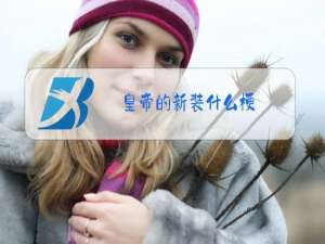 皇帝的新装什么梗