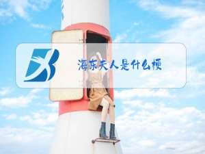 海东夫人是什么梗