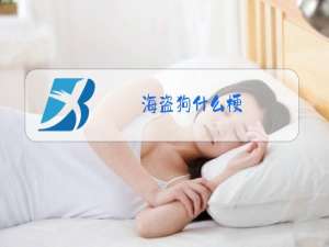 海盗狗什么梗