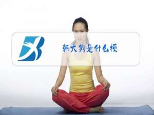 韩大狗是什么梗