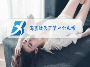 海盗战天下第一什么梗