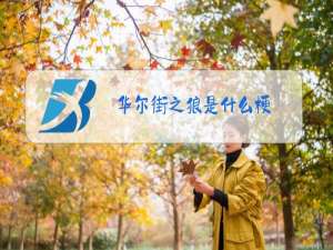 华尔街之狼是什么梗