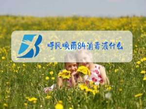 呼风唤雨84消毒液什么梗