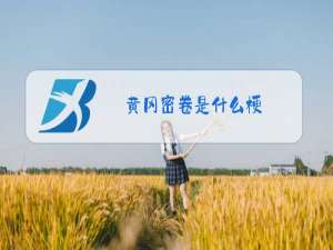 黄冈密卷是什么梗