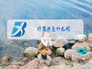 好厚米是什么梗