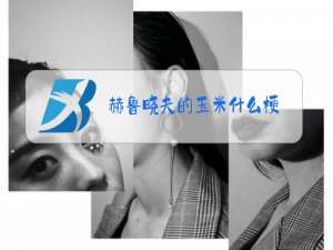 赫鲁晓夫的玉米什么梗