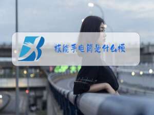 核能手电筒是什么梗