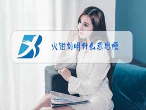 火钳刘明什么意思梗