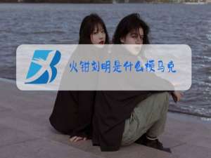 火钳刘明是什么梗马克