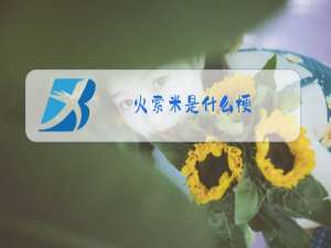 火索米是什么梗