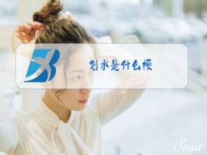 划水是什么梗
